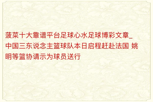 菠菜十大靠谱平台足球心水足球博彩文章_中国三东说念主篮球队本